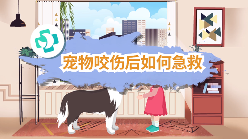 宠物咬伤后如何急救